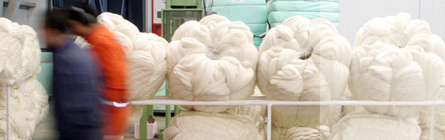 Chilean Wool Tops Processing